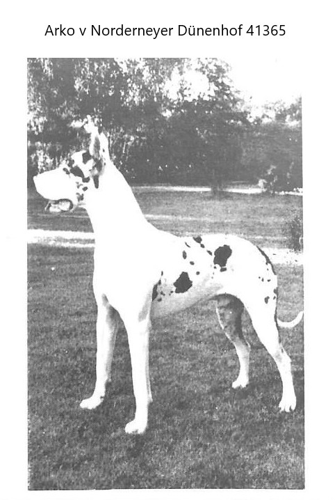 Arko v Norderneyer Dunenhof